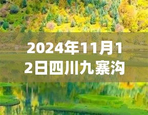 2024年11月12日四川九寨溝最新情況，自然恢復(fù)與旅游新篇章開啟