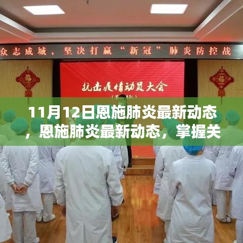 11月12日恩施肺炎最新動態(tài)更新，掌握關(guān)鍵信息的步驟指南
