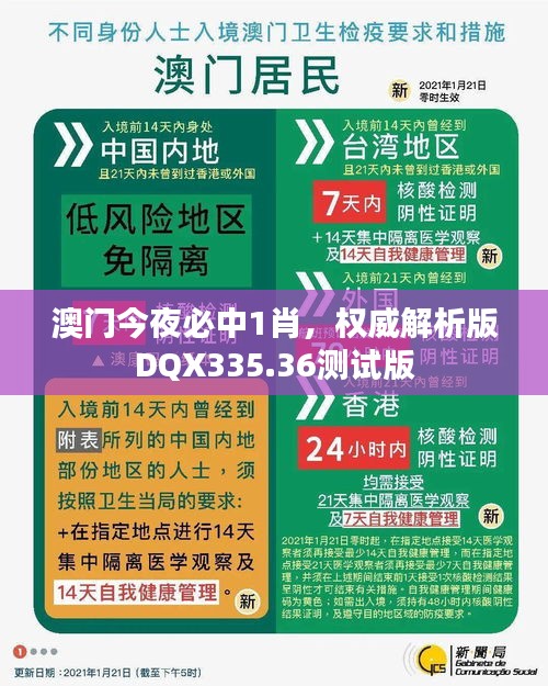 澳門(mén)今夜必中1肖，權(quán)威解析版DQX335.36測(cè)試版