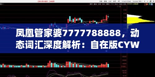 鳳凰管家婆7777788888，動態(tài)詞匯深度解析：自在版CYW389.88