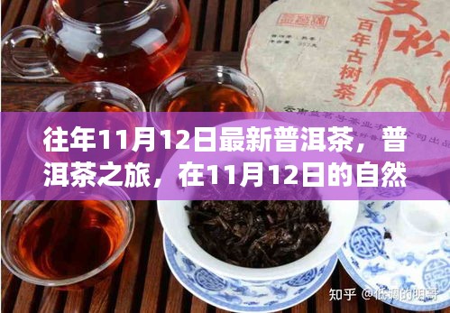 普洱茶之旅，在11月12日的自然懷抱中品味靜心之茶，探尋最新普洱茶的魅力