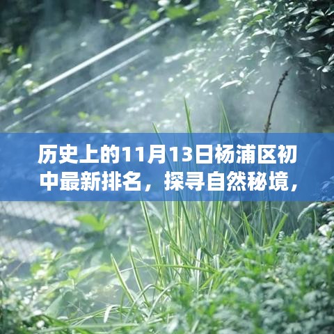 探尋自然秘境與心靈之旅，楊浦區(qū)初中排名背后的故事及最新排名（11月13日）