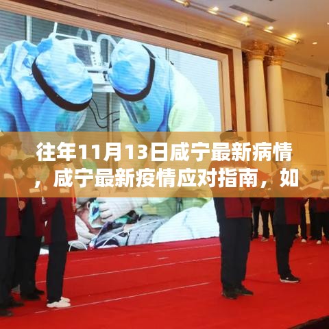 咸寧最新疫情動態(tài)及應(yīng)對指南，安全度過特殊時期的初學(xué)者與進階用戶指南（11月13日更新）