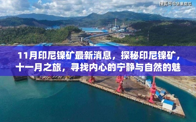 探秘印尼鎳礦，十一月之旅，與自然共舞，追尋內(nèi)心寧靜的魅力