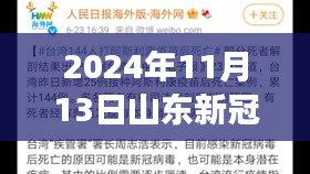 山東新冠疫情最新報(bào)告，多維視角下的深度分析（2024年11月13日）