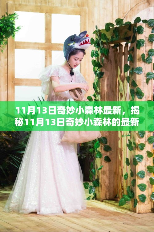 揭秘，最新動態(tài)，探索奇妙小森林的未知領(lǐng)域（日期，11月13日）