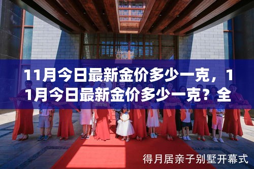 最新金價解析，11月黃金市場走勢及每克最新價格