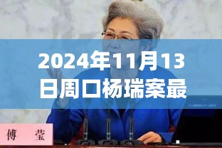 楊瑞案背后的故事，變化的力量與自信的重生最新進展，周口楊瑞案深度剖析（2024年11月13日）