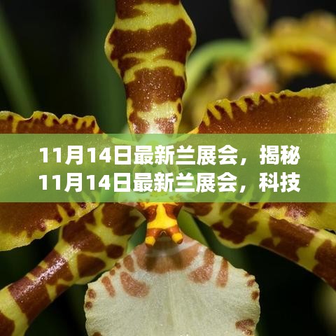 揭秘最新蘭展會(huì)，科技革新引領(lǐng)未來生活風(fēng)采展盛大開幕