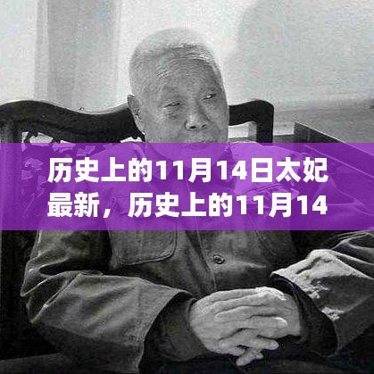 歷史上的11月14日太妃傳奇，最新解讀與影響全解析