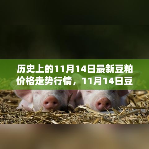 歷史上的豆粕價(jià)格走勢分析，回顧與預(yù)測