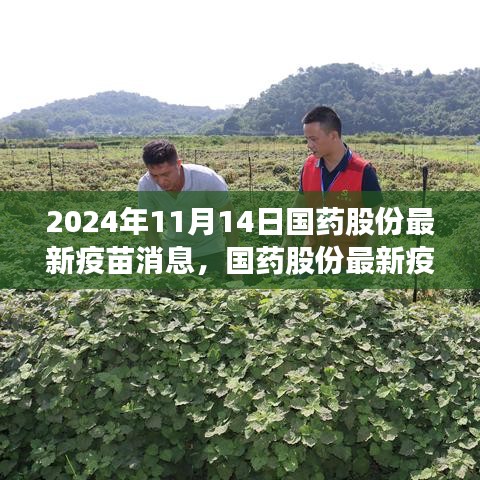 國藥股份最新疫苗科技突破，前沿科技重塑健康防線之旅
