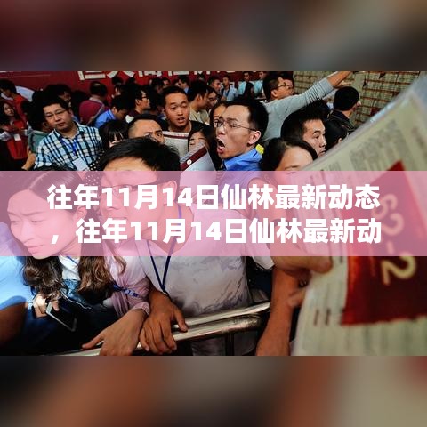 往年11月14日仙林動(dòng)態(tài)深度解析，特性體驗(yàn)、競(jìng)品對(duì)比與用戶群體分析報(bào)告
