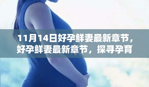 探尋孕育新生命的喜悅與挑戰(zhàn)，好孕鮮妻最新章節(jié)于11月14日更新