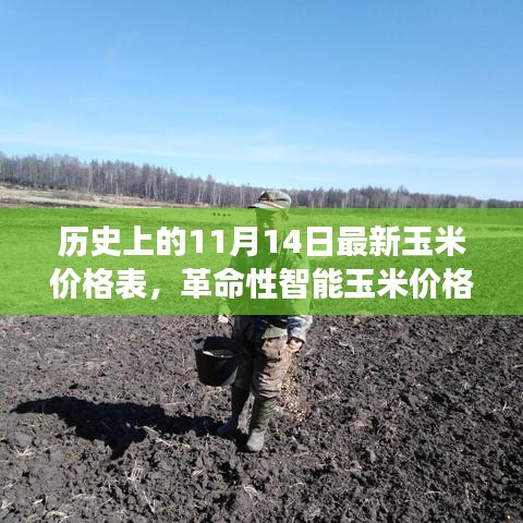 歷史上的11月14日玉米價格概覽，智能跟蹤器重塑農(nóng)業(yè)市場體驗
