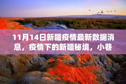 新疆疫情最新動(dòng)態(tài)，秘境小巷的特色小店與疫情數(shù)據(jù)交織的故事