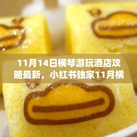 11月橫琴游玩酒店最新攻略，小紅書獨家指南，暢游無憂住宿體驗