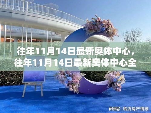 往年11月14日奧體中心全面評(píng)測與介紹，最新動(dòng)態(tài)及場館特色展示