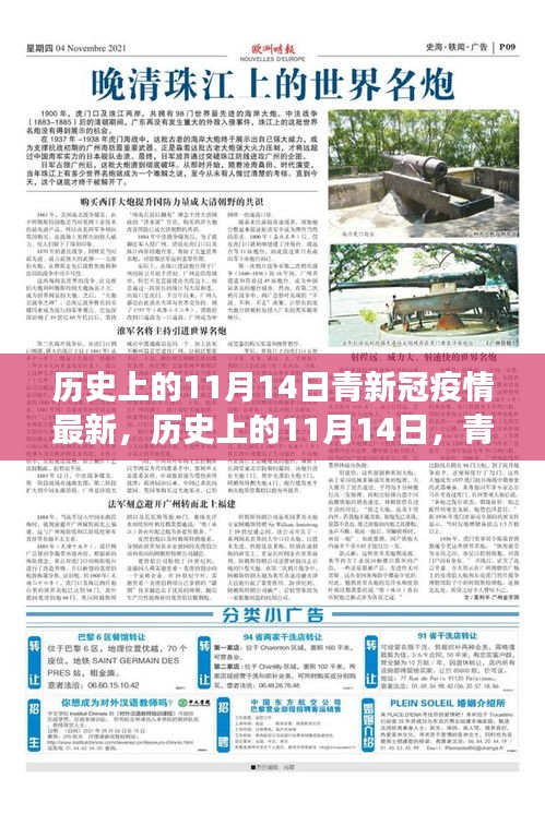 歷史上的11月14日，青新冠疫情最新進展及其社會反響與觀點碰撞