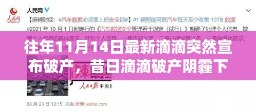昔日滴滴破產(chǎn)陰霾下，自然綠洲的心靈庇護所