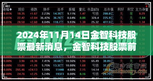 金智科技最新動態(tài)及前景展望，深度解讀2024年11月14日股市消息