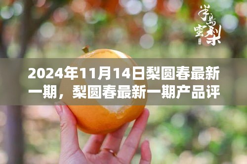 梨圓春產(chǎn)品評測報告，特性、體驗、對比與用戶需求深度解析