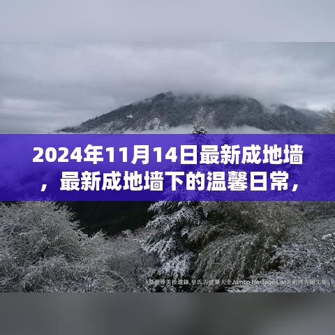 最新成地墻下的溫馨日常，友誼與愛共筑美好家園的2024年1月記事
