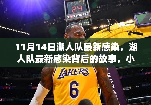 湖人隊最新感染背后故事揭秘，小巷寶藏探秘之旅