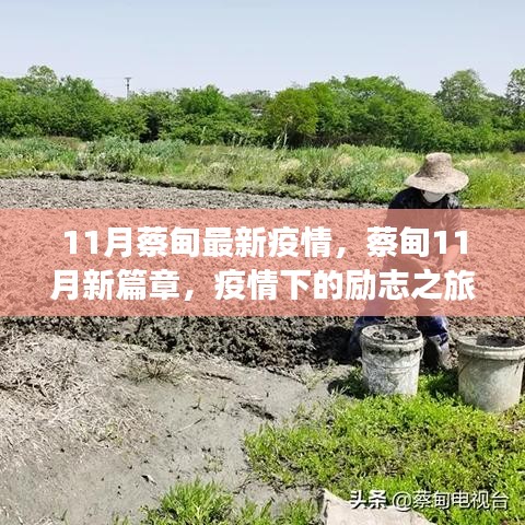 蔡甸11月疫情新篇章，勵志之旅展現(xiàn)自信與成就之光