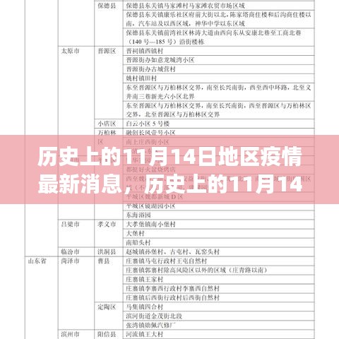 歷史上的11月14日全球疫情進展與地區(qū)動態(tài)分析，最新消息及進展概述