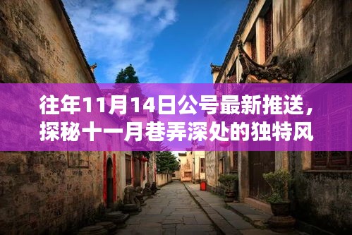 揭秘十一月巷弄深處的隱藏特色小店，獨(dú)特風(fēng)味揭曉日