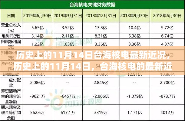 歷史上的11月14日，臺(tái)海核電的最新近況及其影響分析概覽