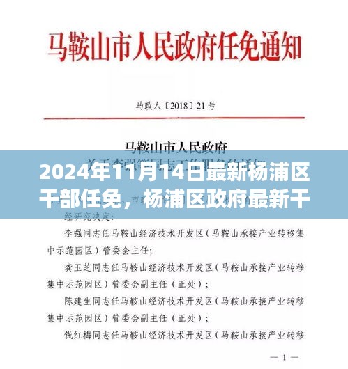 楊浦區(qū)政府最新干部任免動(dòng)態(tài)，聚焦新任干部及未來(lái)展望（更新至2024年）