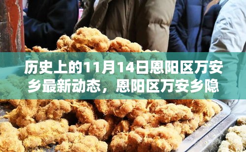 恩陽區(qū)萬安鄉(xiāng)隱秘小巷的百年風(fēng)味揭秘，最新動(dòng)態(tài)報(bào)道在11月14日
