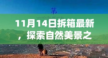 張牙舞爪 第22頁