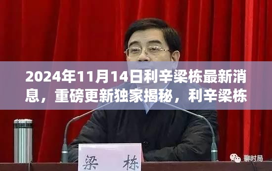 獨(dú)家揭秘，利辛梁棟最新動(dòng)態(tài)與消息重磅更新，2024年11月14日最新進(jìn)展揭秘。