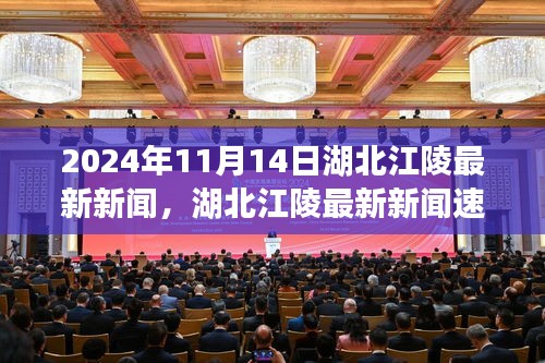 湖北江陵最新新聞速遞，聚焦三大要點(diǎn)（2024年11月14日）