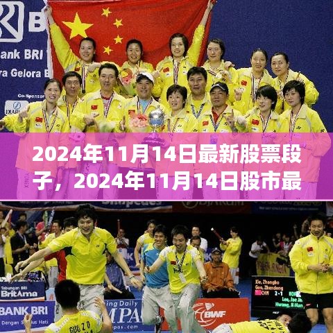 揭秘未來(lái)投資熱點(diǎn)，最新股市動(dòng)態(tài)與股票段子，2024年11月14日深度解析