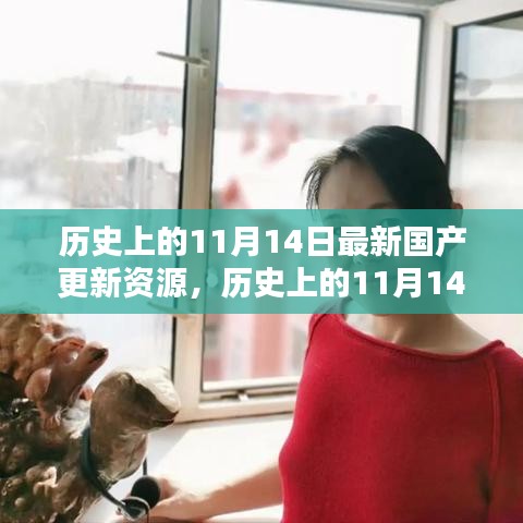 探尋國產(chǎn)資源更新足跡，歷史上的11月14日最新資源揭秘