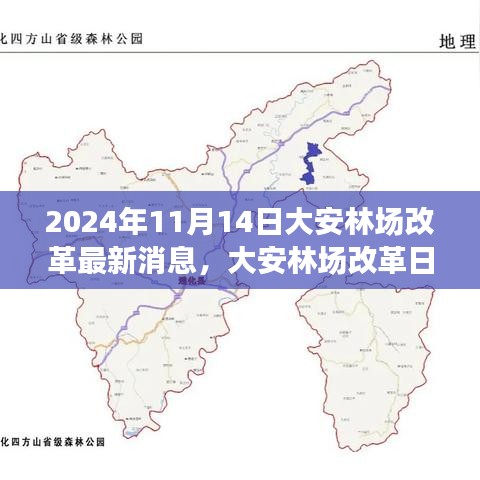 大安林場(chǎng)改革故事會(huì)，最新消息與溫馨改革之旅（2024年11月14日）