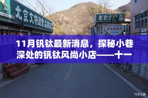 探秘小巷深處的釩鈦風(fēng)尚小店，揭秘十一月最新動(dòng)態(tài)
