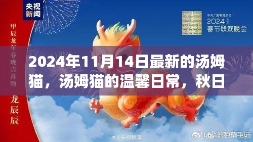 江南煙雨斷橋殤 第19頁(yè)