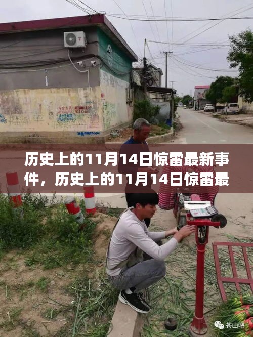 歷史上的11月14日驚雷事件，全面評測與深度介紹