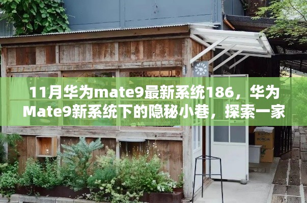 華為Mate9最新系統(tǒng)探索，隱秘小巷的特色小店