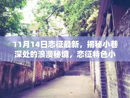 揭秘小巷深處的浪漫秘境，戀征特色小店的最新篇章（11月14日更新）