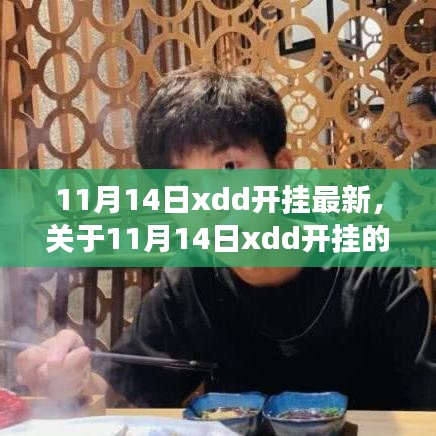 關于11月14日xdd開掛真相的探究與合規(guī)游戲指南