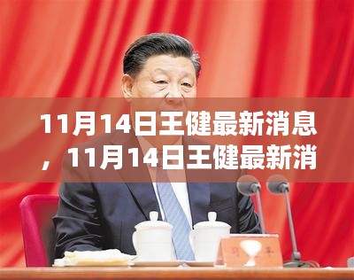 王健最新消息全面評(píng)測(cè)與介紹，11月14日更新動(dòng)態(tài)揭秘！
