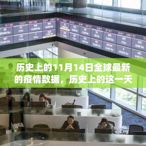 歷史上的11月14日全球疫情深度剖析，全球疫情數(shù)據(jù)與小紅書(shū)分享