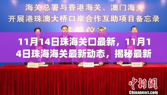 揭秘，珠海海關最新動態(tài)與政策進出口物流新變化（11月14日更新）
