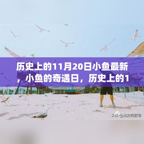 歷史上的11月20日，小魚奇遇日的溫馨小事回顧